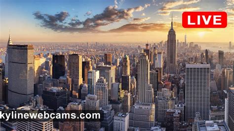 new york city webcam|More.